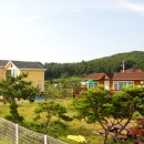 뜨리바다 이미지