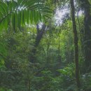 별 내린 커피 이미지