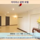 아이리스 | 달랏 여행, 아이리스 달랏 호텔 후기! 가성비 호텔 추천