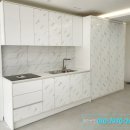 부평 페트 이미지