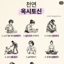 세로토닌