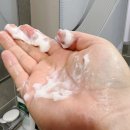 워시에브리데이 | 에브리데이 폼폼 말차 샴푸 헤어컨디셔너 바디클렌저 선물세트 솔직후기 및 리뷰