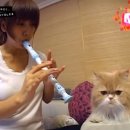 본미미 민박 이미지