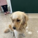 WITH DEW(윗듀) 이미지