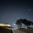 신한은행 뒷길 | 2월3주차 일상] 짝꿍과 열심히 먹고 놀기