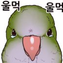 장유농협 앞 이미지