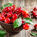 대성농원 이미지