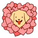 우아하개 이미지