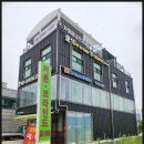 드림창