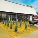 마리올라 이미지