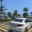 가성비 나트랑 공항 픽업! 내돈내산 추천!!