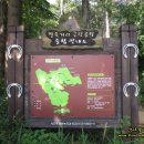 말죽거리주유소 이미지