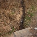 간석3동-23 이미지