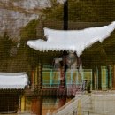 갤러리송
