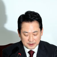 선거판 등장한 '윤 어게인'… 중앙일보 "국힘 지도부, 절윤 의지 없었다"