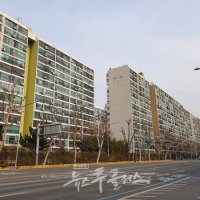 [단독] 은마 재건축조합, 세입자 전원 '4종 소송' 예고…이주대책 빠진 속도전 논란