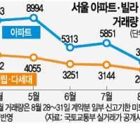 서울 아파트 거래량 한 달 새 41% 감소… 빌라는 20% 뚝