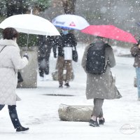금요일 아침 춥고 주말엔 눈소식… 경기 동부 3~8㎝