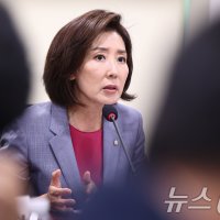 나경원 "張 리더십 부족은 사실…대표 옹립설? 하고픈 특위 위원장도 못됐는데 뭘"
