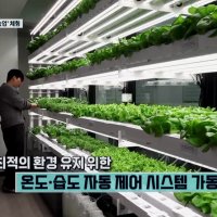 기후 위기 속 미래 농업 '스마트팜 체험' 호응