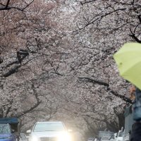 [내일날씨] 전국에 ‘봄비’… 남해안·제주 최대 120mm 이상 강한 비