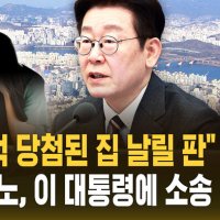 [자막뉴스] "18억 집 날릴 판" 젊은 가장의 분노…이 대통령에 소송