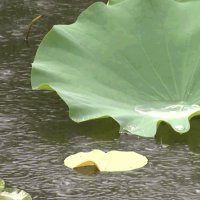 “보통 저기압과 달라”…태풍이 남긴 비구름 남해안 최대 200mm↑