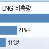 엔비디아·애플칩 90% 만드는 대만…LNG 2주도 못 버텨