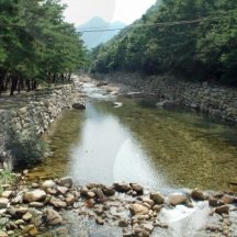 백과사전 검색결과 썸네일