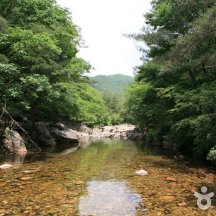 백과사전 검색결과 썸네일