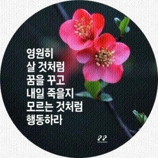 아프레(Apres) 이미지