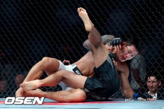 UFC 페더급 경기