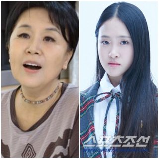 트로트 행사 논란