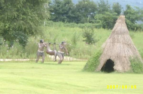 [진여원의 국토사랑] 전곡리 선사유적지 움집에 박이 열렸다***