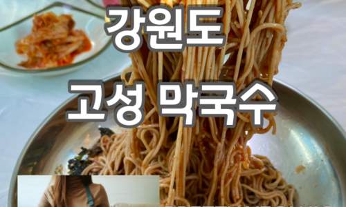 강아지 고성 여행, 영금정 & 간성전통시장