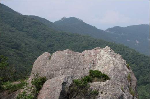 산에서 ‘해바라기’ 하는 소년바위