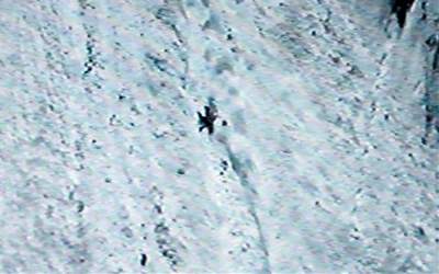 불후의 코리안 챌린저 '故 고미영' 그녀에게 바치는 노래