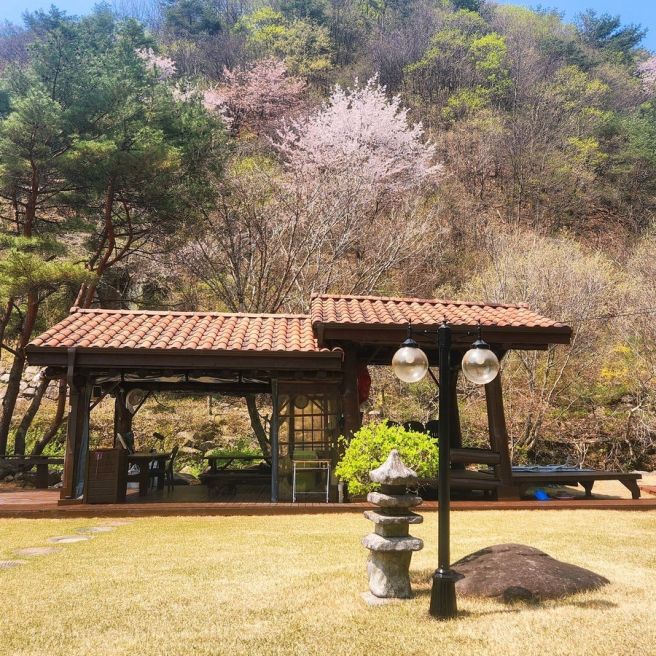 영주 독채 펜션 | 마당너른집에서 보내는 하루 코스