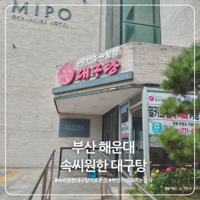 부산 해운대 맛집 속씨원한 대구탕 미포본점｜아이들과 먹어본 솔직후기