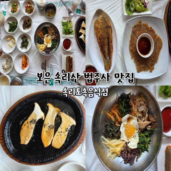 보은 속리산 맛집 속리토속음식점 블루리본 산채정식 내돈내산
