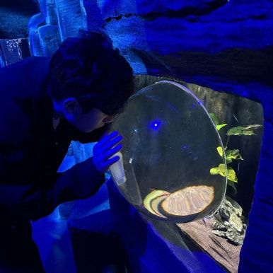 03. 서귀포] 미리 온 결혼1주년 여행 3일차- 진주식당, 천지연폭포, 아쿠아플라넷