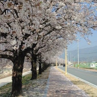 🚗 2026 영주 1박 2일 여행코스 총정리 (인삼축제·코스·맛집·주차)