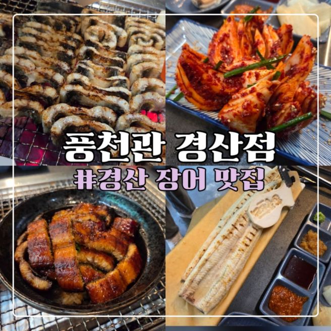경산맛집 추천, 경산장어구이와 경산장어덮밥 제대로 즐긴 풍천관 경산점 후기