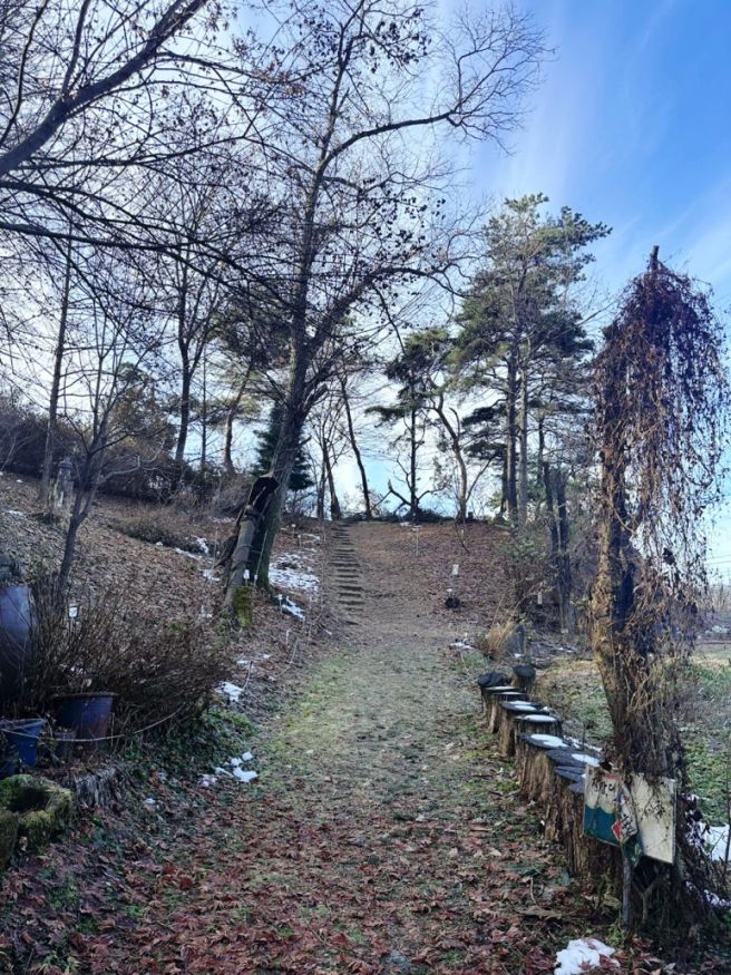 [파뿌리 맛집] 양평한식,양평솥밥,양평한정식 - 보약밥상 경기노포 산마늘밥