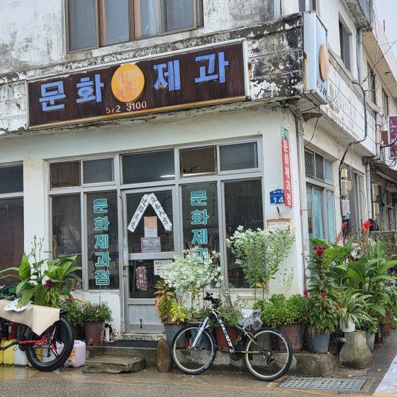 강원도 삼척 꽈배기 맛집 Ι "문화제과" 내돈내산 솔직후기