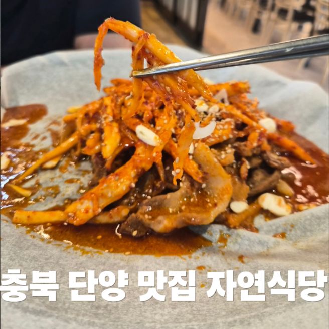 충북 단양 맛집 자연식당 마늘더덕주물럭 내돈내산 솔직후기(블루리본 맛집)