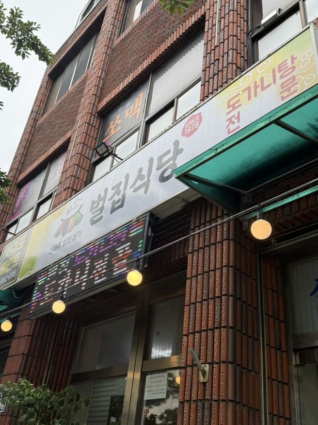 서귀포 도민맛집 도가니수육 도가니탕 설렁탕 블루리본식당“벌집식당”