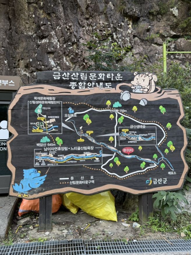 충남 금산산림문화타운 계곡 물놀이/ 금산 복수한우맛집 평양할머니집