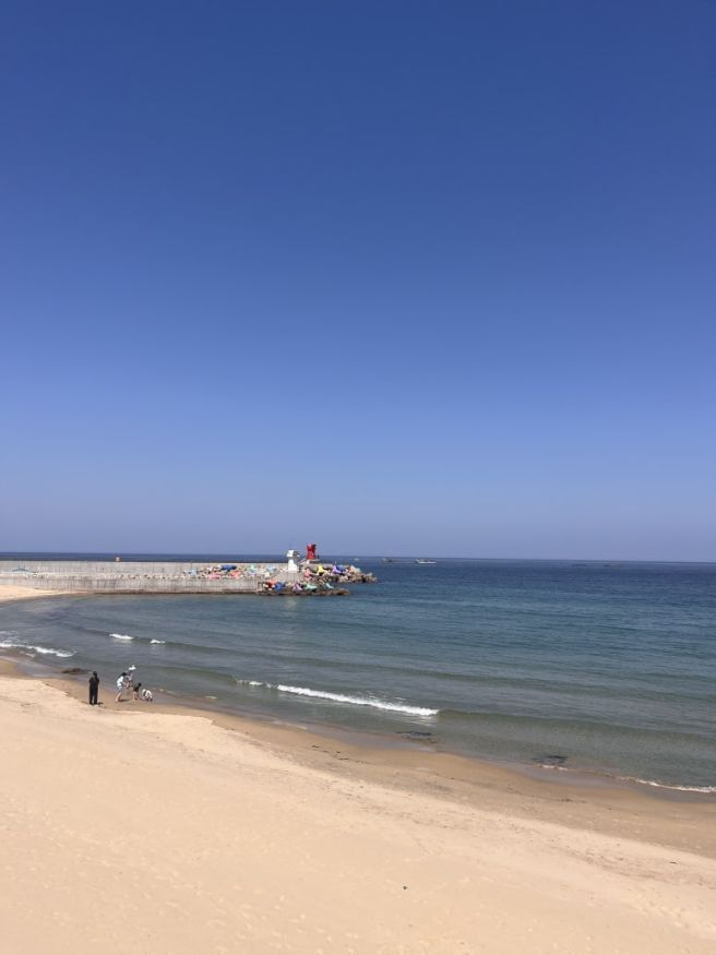 오랜 이웃 콩님과 함께한 동해 묵호 여행 🦀
