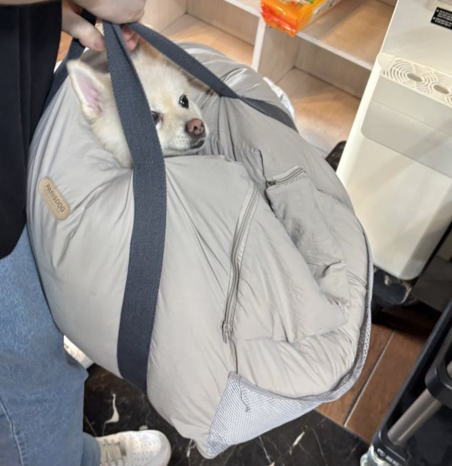 [대구 달성군] 가창 보리밥 정식 '할매집 식당' 애견동반 후기